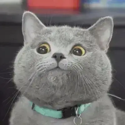 rohan salunkhe profile pic